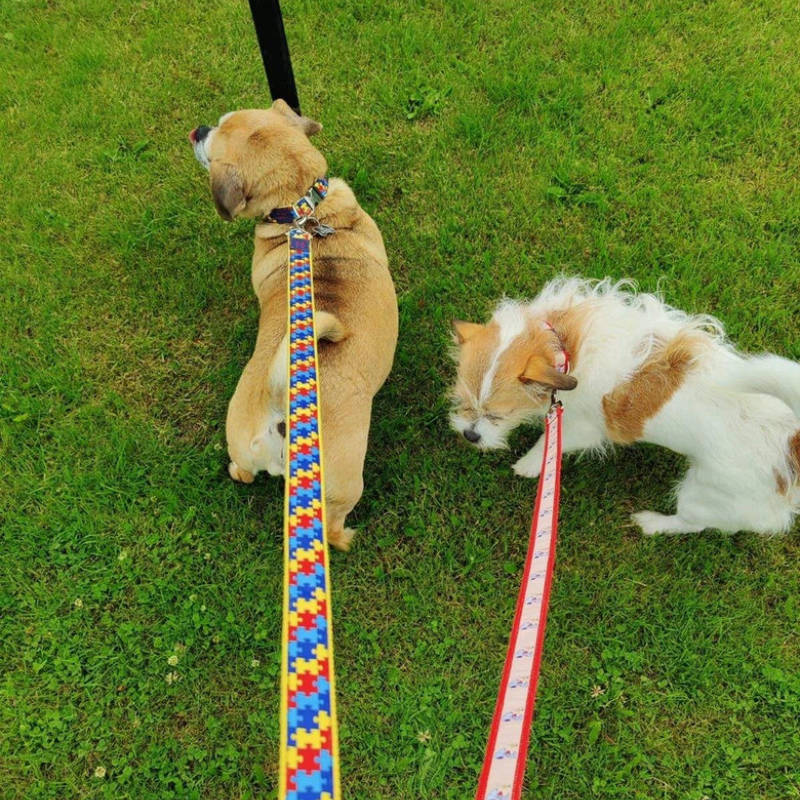 handmade dog collars Ireland