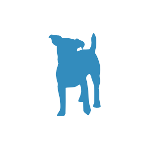 Dog tag sizing Ireland