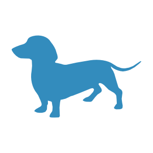 Handmade cat collars