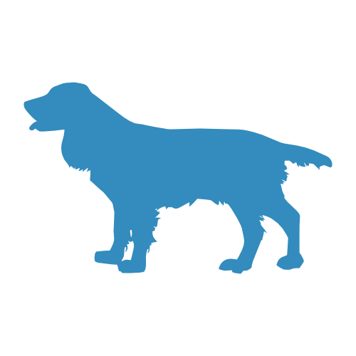 Large dog collars and leads Ireland